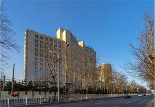 福建苯磺酸市场价