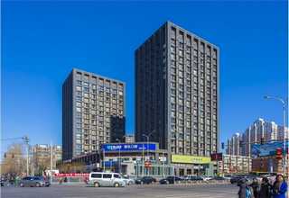 江门逗耳宠物平台服务